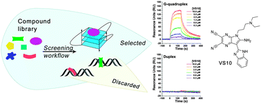 Graphical abstract: Identification of a selective G-quadruplex DNA binder using a multistep virtual screening approach