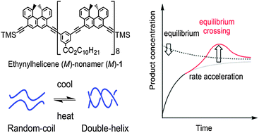 Graphical abstract: Equilibrium crossing exhibited by an ethynylhelicene (M)-nonamer during random-coil-to-double-helix thermal transition in solution