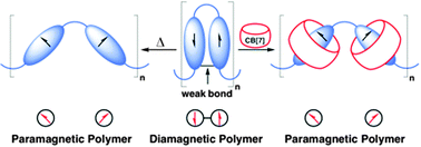 Graphical abstract: A radical spin on viologen polymers: organic spin crossover materials in water