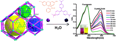 Graphical abstract: Two nanocage anionic metal–organic frameworks with rht topology and {[M(H2O)6]6}12+ charge aggregation for rapid and selective adsorption of cationic dyes