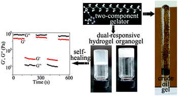 Graphical abstract: Dual-responsive two-component supramolecular gels for self-healing materials and oil spill recovery