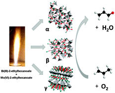 Graphical abstract: One-step synthesis of bismuth molybdate catalysts via flame spray pyrolysis for the selective oxidation of propylene to acrolein