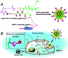 Graphical abstract: MMP-2 responsive polymeric micelles for cancer-targeted intracellular drug delivery