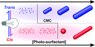 Graphical abstract: Light-induced structural evolution of photoswitchable carbohydrate-based surfactant micelles