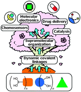 Graphical abstract: Hierarchical supramolecules and organization using boronic acid building blocks