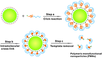 Graphical abstract: Monofunctional polymer nanoparticles prepared through intramolecularly cross-linking the polymer chains sparsely grafted on the surface of sacrificial silica spheres