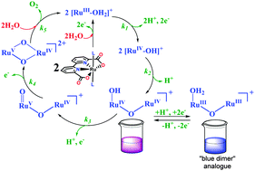 Graphical abstract: Mechanism of water oxidation by [Ru(bda)(L)2]: the return of the “blue dimer”