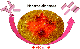 Graphical abstract: Plasmon induced self-assembly of gold nanorods in polymer films