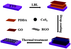 Graphical abstract: The facile preparation of a cobalt disulfide–reduced graphene oxide composite film as an efficient counter electrode for dye-sensitized solar cells
