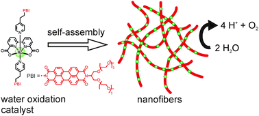 Graphical abstract: Embedding of a ruthenium(ii) water oxidation catalyst into nanofibers via self-assembly