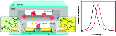 Graphical abstract: A single-nanoparticle NO2 gas sensor constructed using active molecular plasmonics