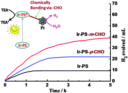 Graphical abstract: Orchestrated photocatalytic hydrogen generation using surface-adsorbing iridium photosensitizers