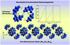 Graphical abstract: Assembly of tetrameric dimethyltin-functionalized selenotungstates: from nanoclusters to one-dimensional chains