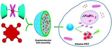 Graphical abstract: Supramolecular self-assembled nanoparticles for chemo-photodynamic dual therapy against cisplatin resistant cancer cells