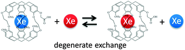 Graphical abstract: Degeneracy in cryptophane–xenon complex formation in aqueous solution