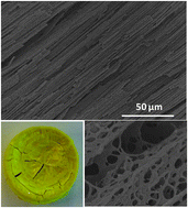 Graphical abstract: Aligned macroporous monoliths with intrinsic microporosity via a frozen-solvent-templating approach