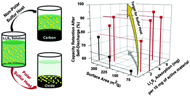 Graphical abstract: Rational design of sulphur host materials for Li–S batteries: correlating lithium polysulphide adsorptivity and self-discharge capacity loss