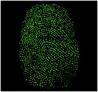 Graphical abstract: Sweat pore mapping using a fluorescein–polymer composite film for fingerprint analysis