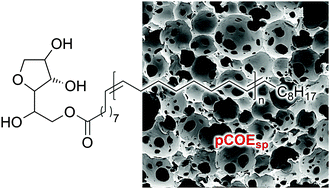 Graphical abstract: Covalent incorporation of the surfactant into high internal phase emulsion templated polymeric foams