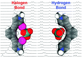 Graphical abstract: Solution and solid-phase halogen and C–H hydrogen bonding to perrhenate
