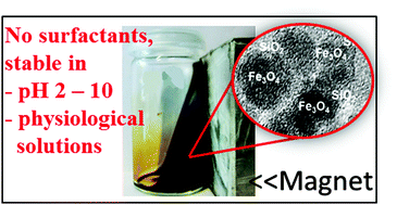 Graphical abstract: Surfactant free superparamagnetic iron oxide nanoparticles for stable ferrofluids in physiological solutions