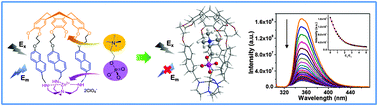 Graphical abstract: A fluorescent heteroditopic hemicryptophane cage for the selective recognition of choline phosphate