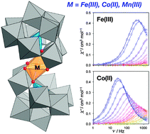 Graphical abstract: Field-induced slow magnetic relaxation of octahedrally coordinated mononuclear Fe(iii)-, Co(ii)-, and Mn(iii)-containing polyoxometalates
