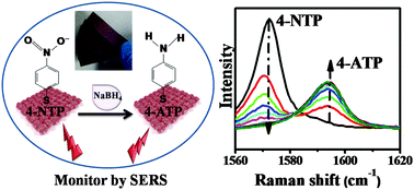 Graphical abstract: Gold nanoparticle-loaded filter paper: a recyclable dip-catalyst for real-time reaction monitoring by surface enhanced Raman scattering