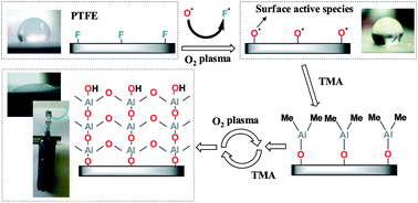 Graphical abstract: Plasma-enhanced atomic layer deposition: a gas-phase route to hydrophilic, glueable polytetrafluoroethylene