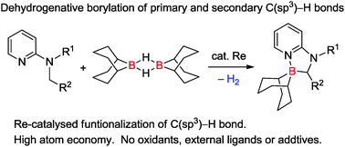 Graphical abstract: Rhenium-catalysed dehydrogenative borylation of primary and secondary C(sp3)–H bonds adjacent to a nitrogen atom