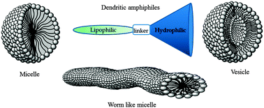 Graphical abstract: Towards engineering of self-assembled nanostructures using non-ionic dendritic amphiphiles