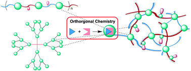 Graphical abstract: Modular and orthogonal synthesis of hybrid polymers and networks