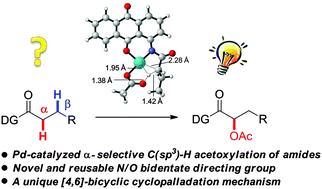 Graphical abstract: Pd-catalyzed α-selective C(sp3)–H acetoxylation of amides through an unusual cyclopalladation mechanism