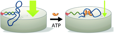 Graphical abstract: DNA-aptamer gating membranes
