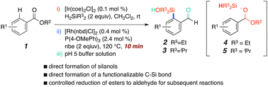 Graphical abstract: Reductive arene ortho-silanolization of aromatic esters with hydridosilyl acetals
