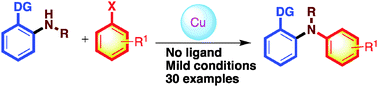 Graphical abstract: Copper catalysed amidation of aryl halides through chelation assistance