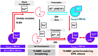 Graphical abstract: H+-Assisted fluorescent differentiation of Cu+ and Cu2+: effect of Al3+-induced acidity on chemical sensing and generation of two novel and independent logic gating pathways