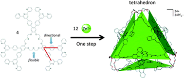 Graphical abstract: Directed flexibility: self-assembly of a supramolecular tetrahedron