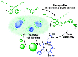 Graphical abstract: RGD-decorated conjugated polymer particles as fluorescent biomedical probes prepared by Sonogashira dispersion polymerization