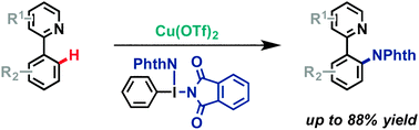 Graphical abstract: Regioselective C–H bond amination by aminoiodanes