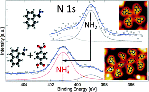 Graphical abstract: A competitive amino-carboxylic hydrogen bond on a gold surface