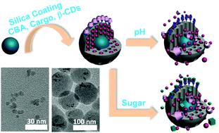 Graphical abstract: Sugar and pH dual-responsive snap-top nanocarriers based on mesoporous silica-coated Fe3O4 magnetic nanoparticles for cargo delivery