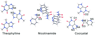 Graphical abstract: Structure determination of the theophylline–nicotinamide cocrystal: a combined powder XRD, 1D solid-state NMR, and theoretical calculation study