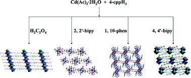 Graphical abstract: Syntheses, structures, luminescence and molecular recognition properties of four new cadmium carboxyphosphonates with 2D layered and 3D supramolecular structures