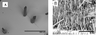 Graphical abstract: Metal organic framework (MOF) micro/nanopillars