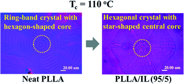 Graphical abstract: A novel hexagonal crystal with a hexagonal star-shaped central core in poly(l-lactide) (PLLA) induced by an ionic liquid