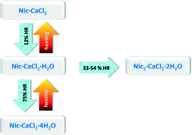 Graphical abstract: Crystal form selectivity by humidity control: the case of the ionic co-crystals of nicotinamide and CaCl2