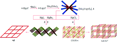 Graphical abstract: Stepwise formation of heteronuclear coordination networks based on quadruple-bonded dimolybdenum units containing formamidinate ligands