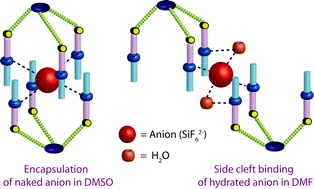 Graphical abstract: Dual modes of binding on the hexafluorosilicate anion by a C3v symmetric flexible tripodal amide ligand in solid state