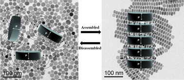 Graphical abstract: Reversible self-assembly of MxS (M = Cu, Ag) nanocrystals through ligand exchange